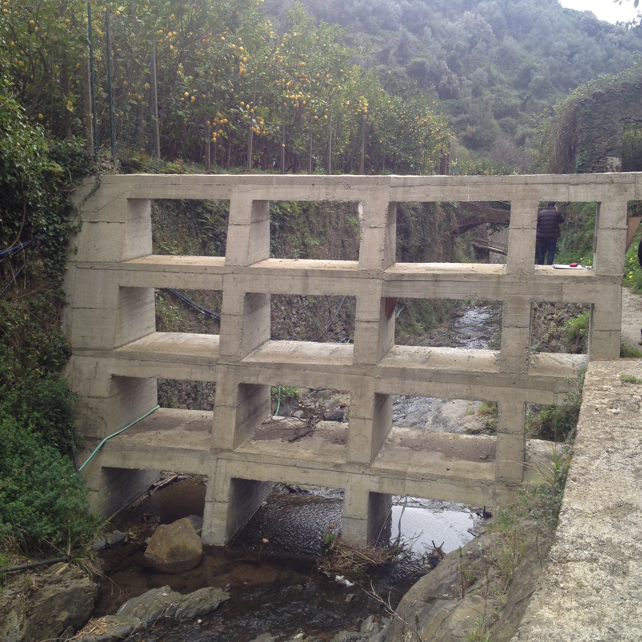 immagine descrittiva progetto